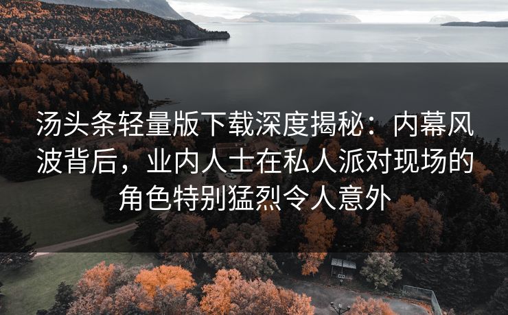 汤头条轻量版下载深度揭秘：内幕风波背后，业内人士在私人派对现场的角色特别猛烈令人意外